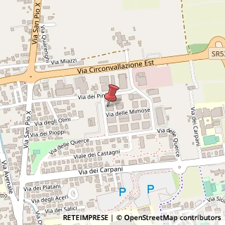Mappa Via delle Mimose, 12, 31033 Castelfranco Veneto, Treviso (Veneto)