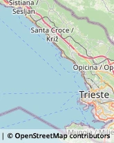 Rigattieri Muggia,34015Trieste