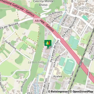 Mappa Via Campo dei Fiori, 61, 21013 Gallarate, Varese (Lombardia)