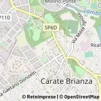 地图 Carate Brianza