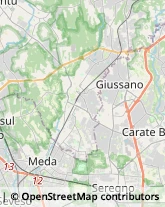 Autofficine e Centri Assistenza Giussano,20038Monza e Brianza