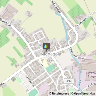 Locali, Birrerie e Pub,31030Treviso