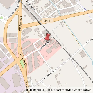 Mappa Via dei Pini, 45, 36016 Thiene, Vicenza (Veneto)