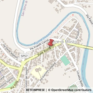 Mappa Viale Roma,  37, 30020 Torre di Mosto, Venezia (Veneto)