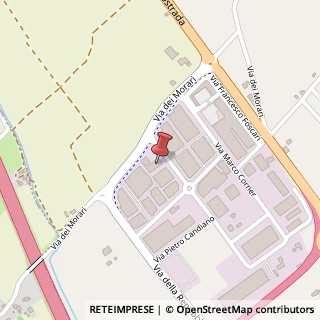 Mappa Via Giovanni Dolfin, 8, 36016 Thiene, Vicenza (Veneto)