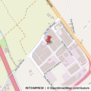 Mappa Via Giovanni Dolfin, 6, 36016 Thiene, Vicenza (Veneto)