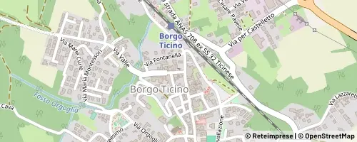Mappa Borgo Ticino