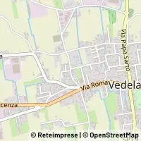 Peta Vedelago