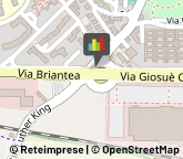 Pelletterie - Ingrosso e Produzione Bergamo,24128Bergamo