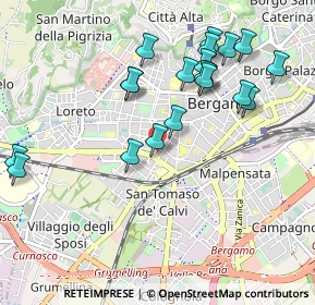 Mappa Via Bernardo Zenale, 24127 Bergamo BG, Italia (1.0185)