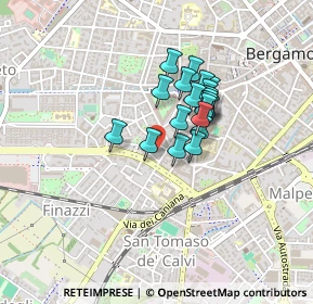 Mappa Via Bernardo Zenale, 24127 Bergamo BG, Italia (0.293)