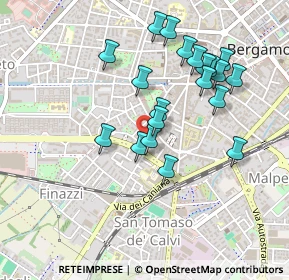 Mappa Via Bernardo Zenale, 24127 Bergamo BG, Italia (0.4375)