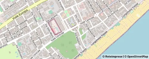 Mappa 리냐노 사비아도로