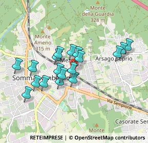 Mappa Via C. Garzonio, 21019 Somma Lombardo VA, Italia (0.78778)