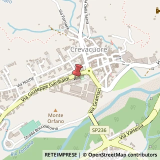 Mappa Via Giuseppe Garibaldi, 65, 13864 Crevacuore, Biella (Piemonte)