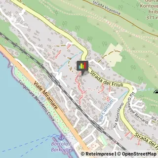 Uccelli,34136Trieste