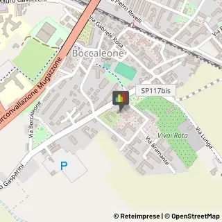 Trasportatori Meccanici Bergamo,24125Bergamo