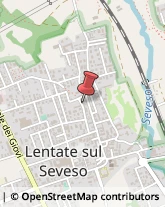 Via Giuseppe Giuliani, 12,20824Lentate sul Seveso