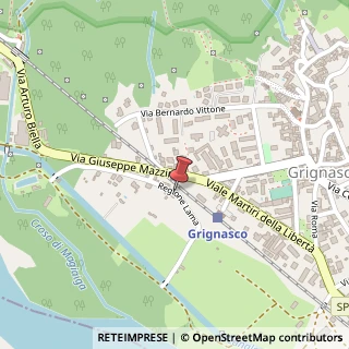 Mappa Via Alessandro Manzoni, 3, 28075 Grignasco NO, Italia, 28075 Grignasco, Novara (Piemonte)