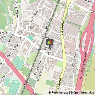 Scuole Pubbliche,21013Varese