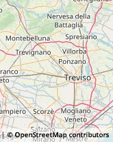 Psicologi Treviso,31100Treviso