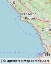 Vernici, Smalti e Colori - Vendita Trieste,34143Trieste