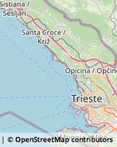 Vernici, Smalti e Colori - Vendita Trieste,34146Trieste