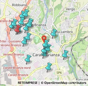 Mappa Viale Giuseppe Garibaldi, 20841 Carate Brianza MB, Italia (1.0055)