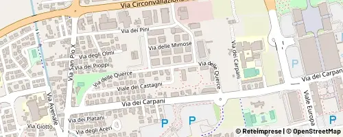 Mappa Castelfranco Veneto