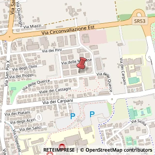 Mappa Via degli Olivi, 1, 31033 Castelfranco Veneto, Treviso (Veneto)