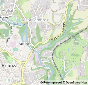 Mappa Viale trento e trieste, 20841 Carate Brianza MB, Italia (0.34615)