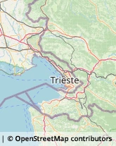 Psicoanalisi - Studi e Centri Duino-Aurisina,34011Trieste