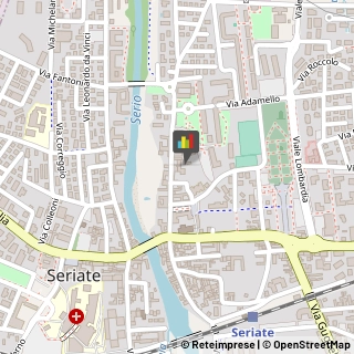 Osteopatia Seriate,24068Bergamo