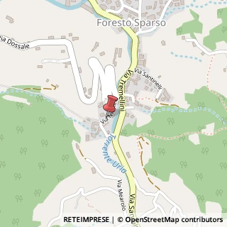 Mappa Via nicolini 1, 24060 Foresto Sparso, Bergamo (Lombardia)