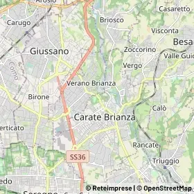 Mappa Carate Brianza