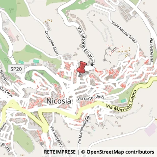 Mappa Vicolo Porta D'Aquila, 2, 94014 Nicosia, Enna (Sicilia)