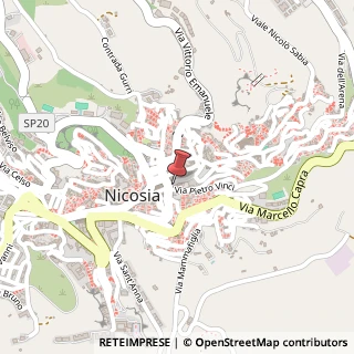 Mappa Via Francesco Salomone, 13, 94014 Nicosia, Enna (Sicilia)
