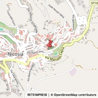 Mappa Via regina elena 1, 94014 Nicosia, Enna (Sicilia)