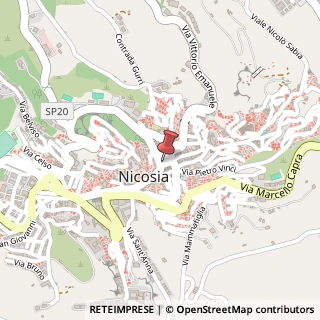 Mappa Piazza Garibaldi, 36, 94014 Nicosia, Enna (Sicilia)