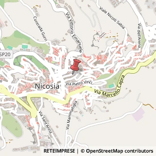 Mappa Via Francesco Salomone, 40, 94014 Nicosia, Enna (Sicilia)