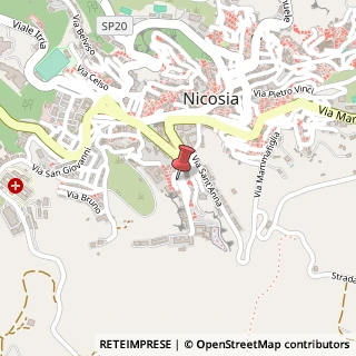 Mappa Viale iv novembre 28, 94100 Nicosia, Enna (Sicilia)