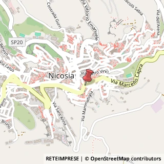 Mappa vicolo trappeto  s. agata, 19, 94014 Nicosia, Enna (Sicilia)