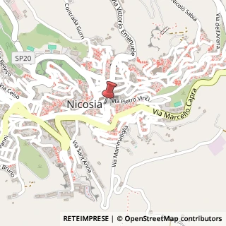Mappa Via Filippo Randazzo, 13, 94014 Nicosia, Enna (Sicilia)