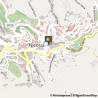 Associazioni Sindacali Nicosia,94014Enna