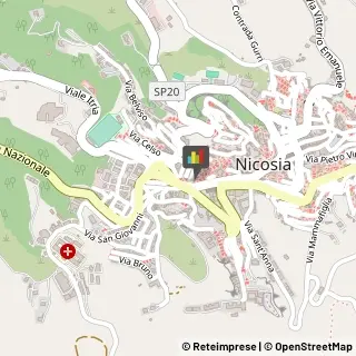 Commercialisti Nicosia,94014Enna