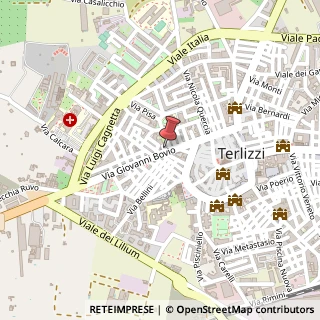 Mappa Via Giovanni Bovio, 11, 70038 Terlizzi, Bari (Puglia)