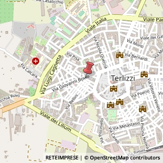 Mappa Via Giovanni Bovio, 28, 70038 Terlizzi, Bari (Puglia)