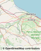 Ortofrutticoltura Canosa di Puglia,70053Barletta-Andria-Trani