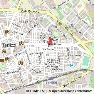 Mappa Viale Roma, 46, 70038 Terlizzi, Bari (Puglia)
