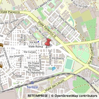Mappa Viale Roma, 94, 70038 Terlizzi, Bari (Puglia)